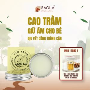 cao tràm SAOLA