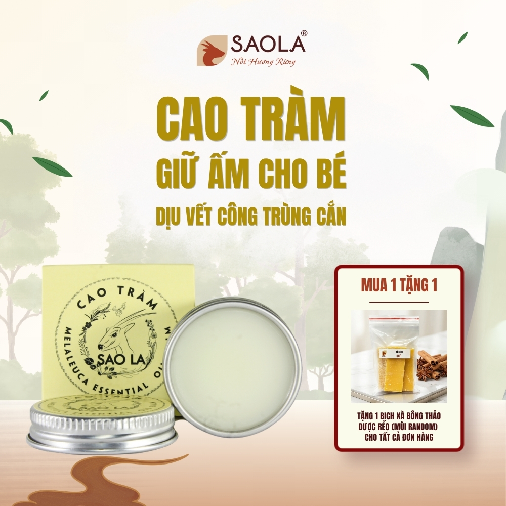 cao tràm SAOLA