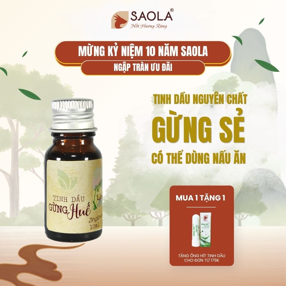 tinh dầu gừng huế SAOLA