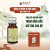 tinh dầu tràm năm gân SAOLA