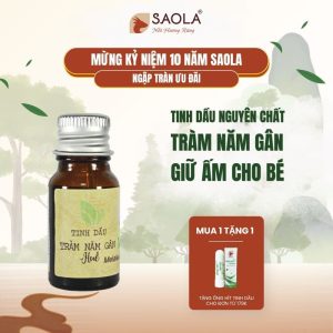 tinh dầu tràm năm gân SAOLA