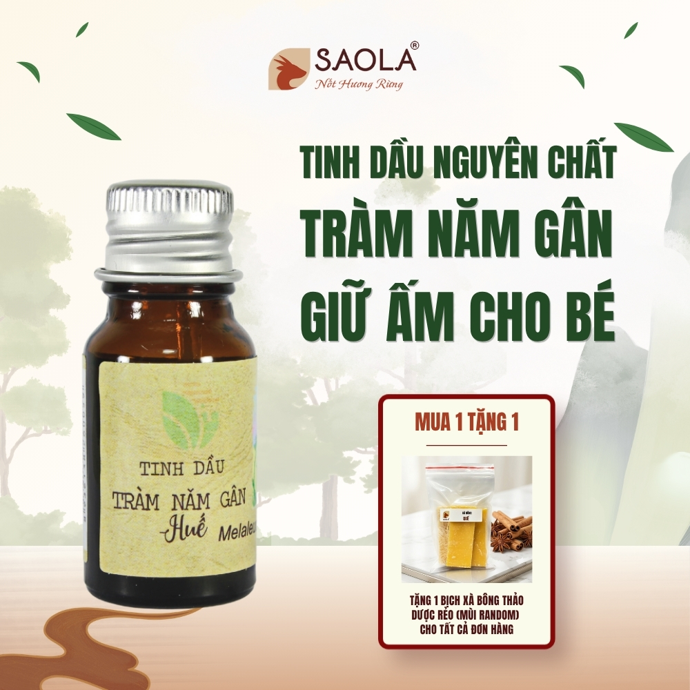 tinh dầu tràm năm gân