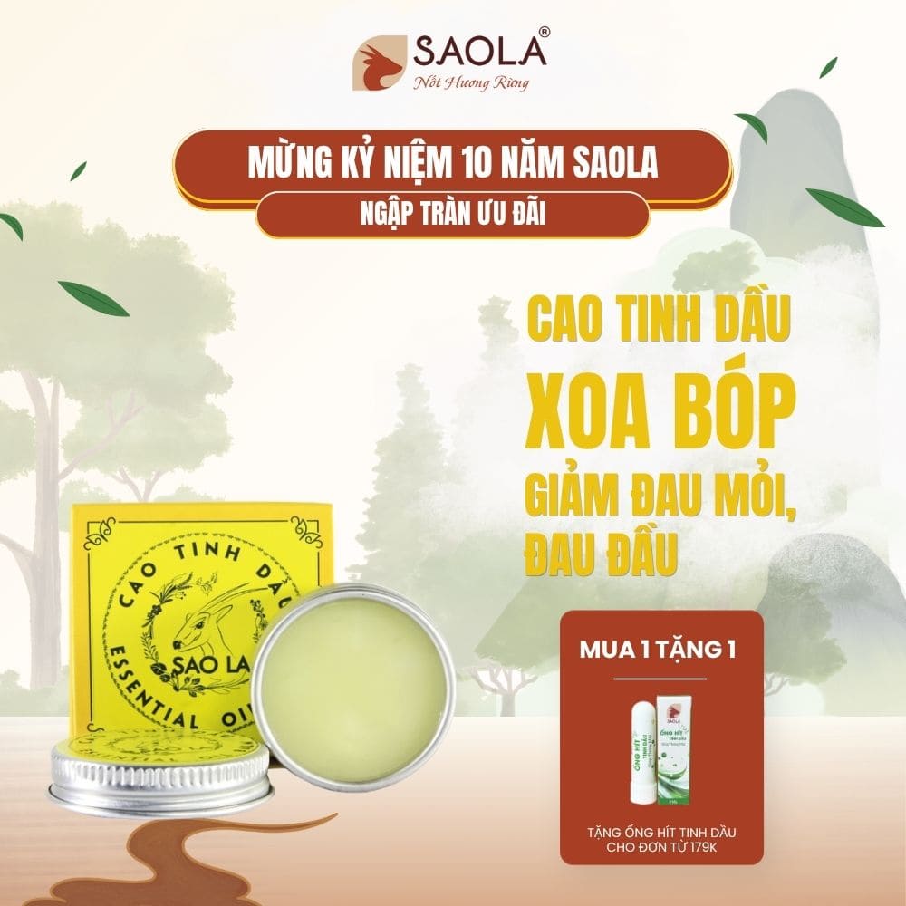 cao tinh dầu SAOLA