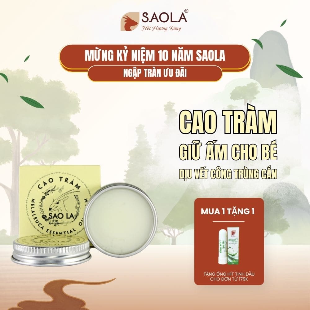 cao tràm SAOLA