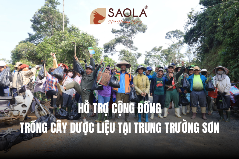 Hỗ Trợ Cộng Đồng Trồng Cây Dược Liệu Tại Trung Trường Sơn